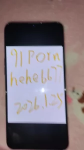 [原创]原创作品后入