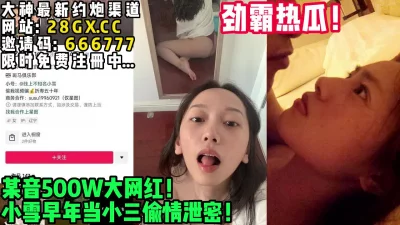 【完整版36分钟已上传下面简阶】